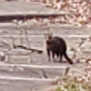 Meet your Posher, Jack